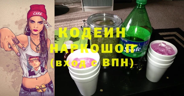прущий лед Алзамай