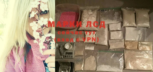 прущий лед Алзамай