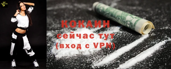 прущий лед Алзамай